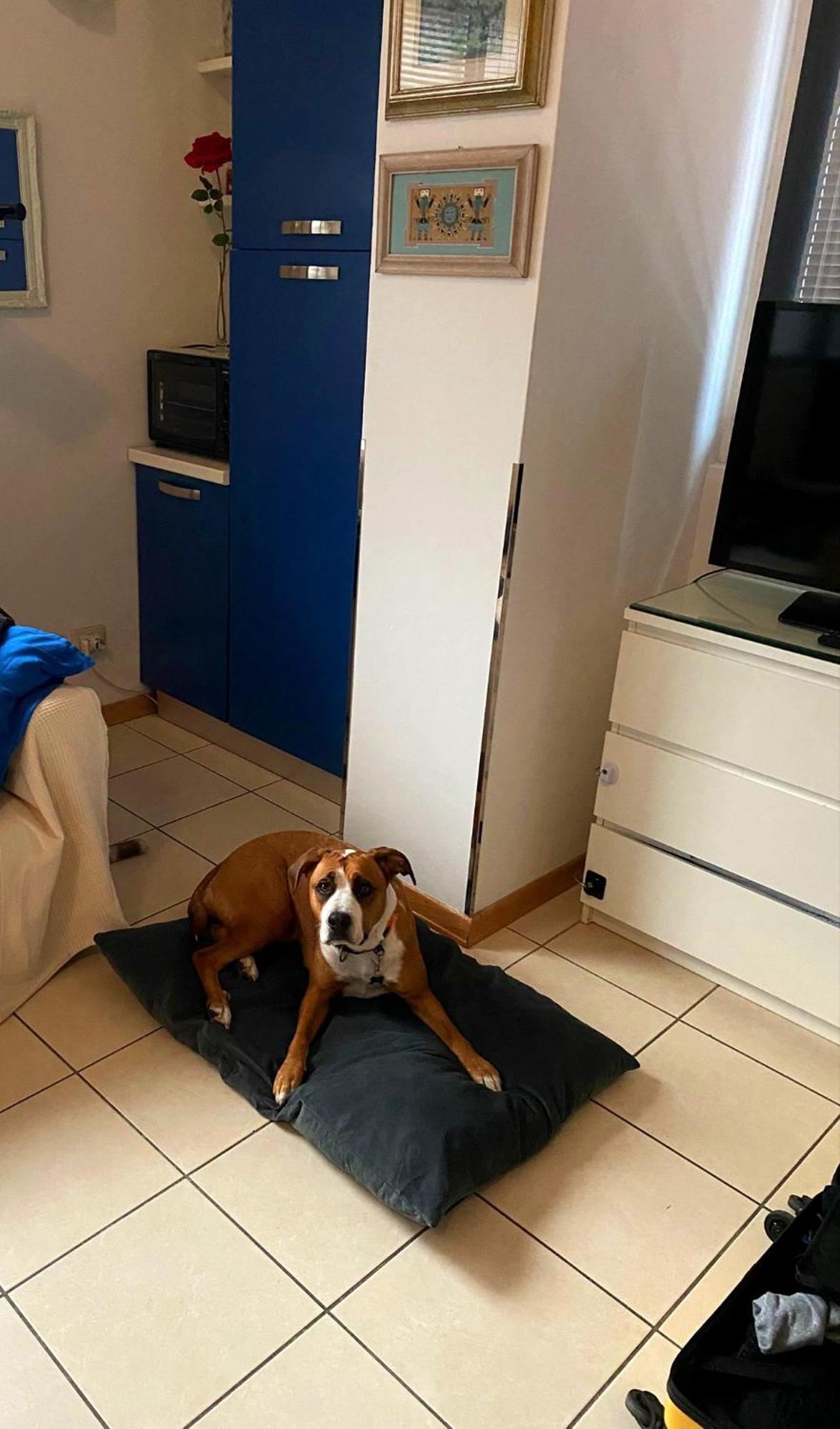 Gemme Fiorentine Apartments In Front Of The Train Station 5 Minutes From The Centre Free Parking Florenz Exterior foto